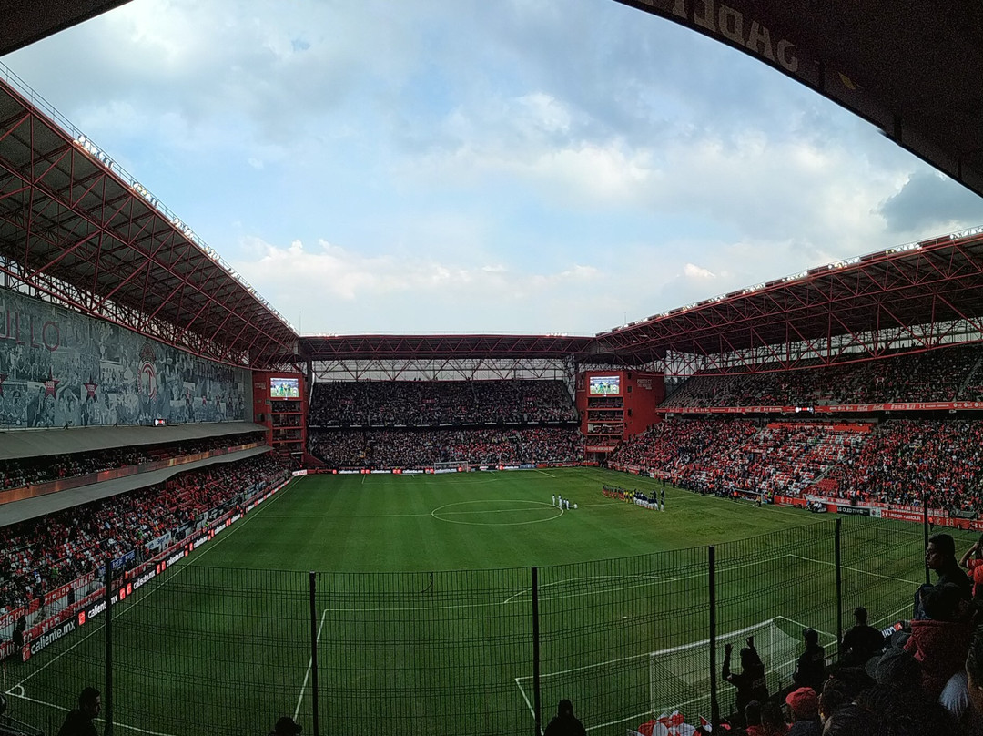 Estadio Nemesio Diez景点图片