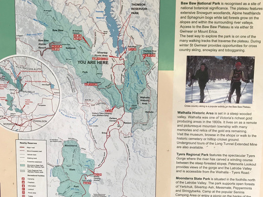 Thomson Picnic Area-Mount Baw Baw必去景点