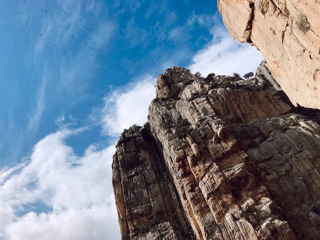 Galeota Tourism-马拉加必去景点