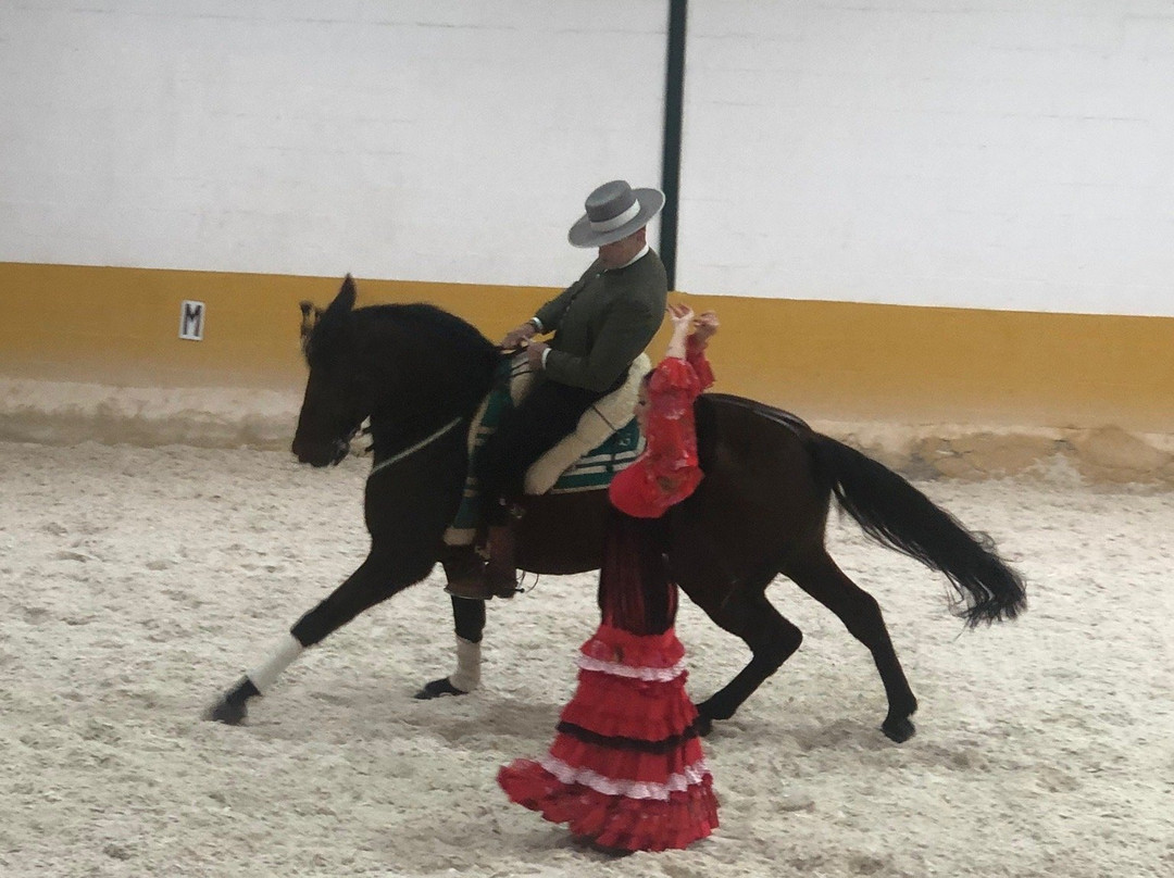Ritmo a Caballo & Andalusian Night-托雷莫里诺斯必去景点