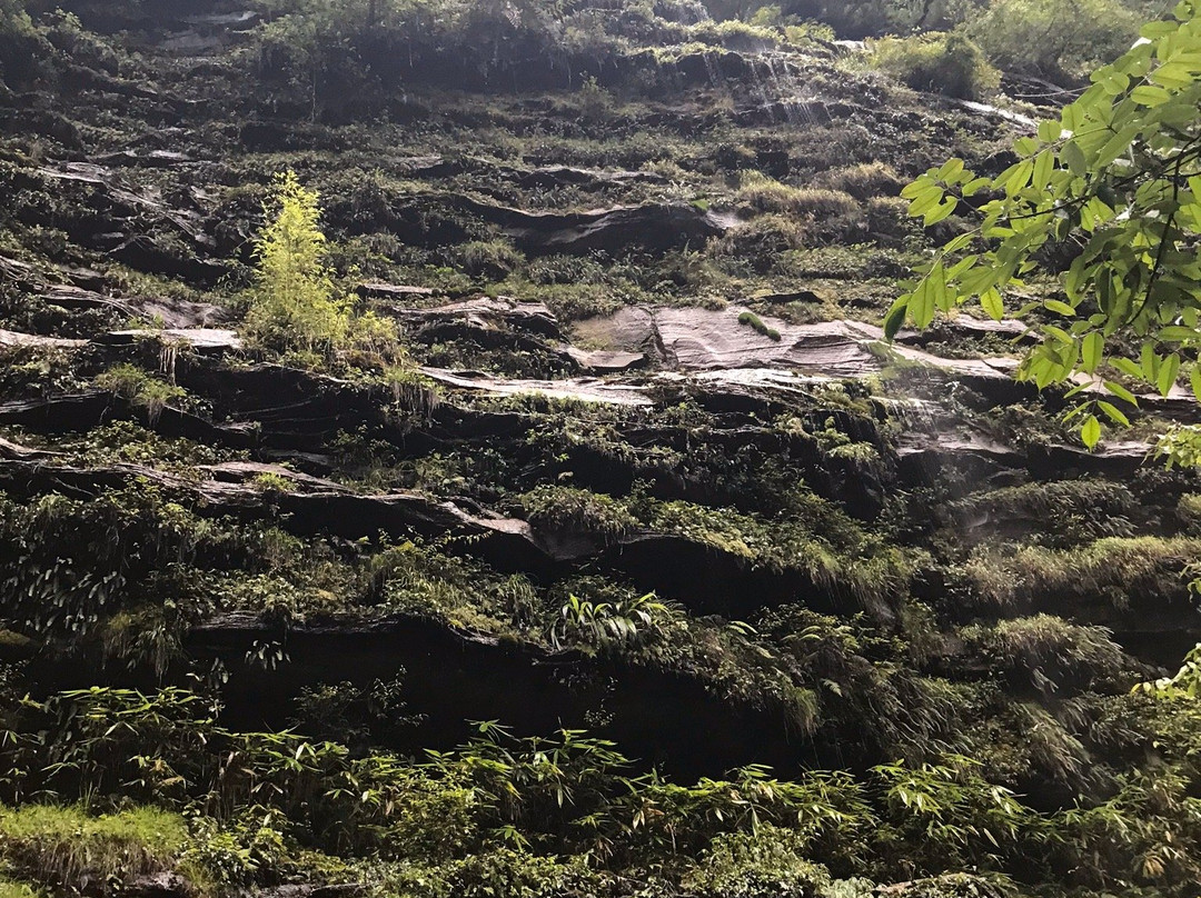 雅安碧峰峡景点图片