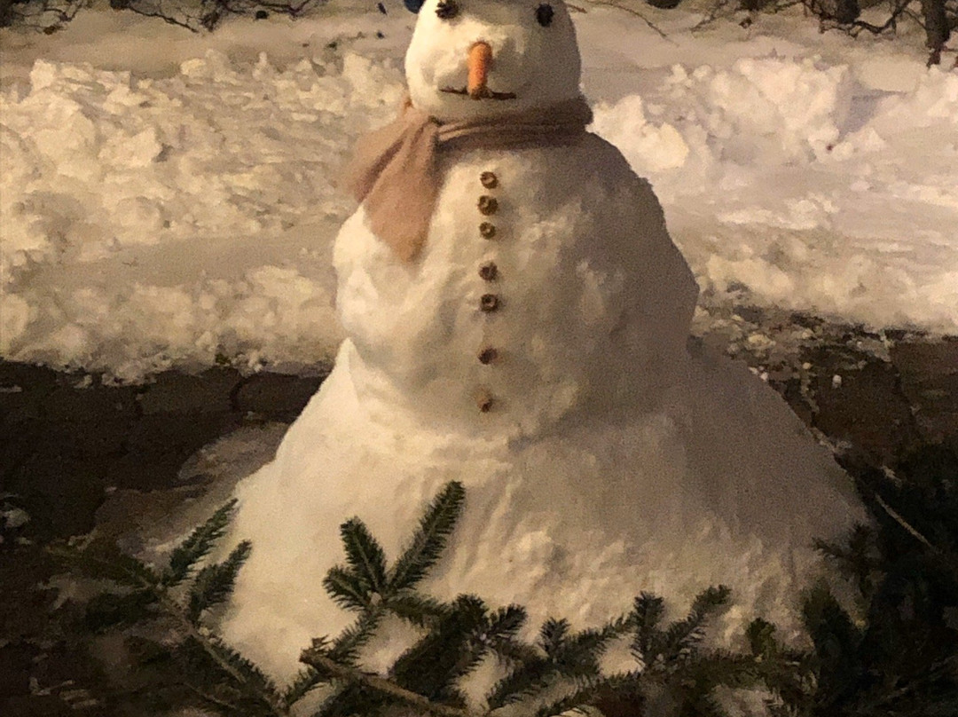 Hotel Feldwebel主图