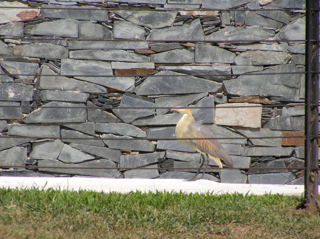 Piedras Del Sol主图