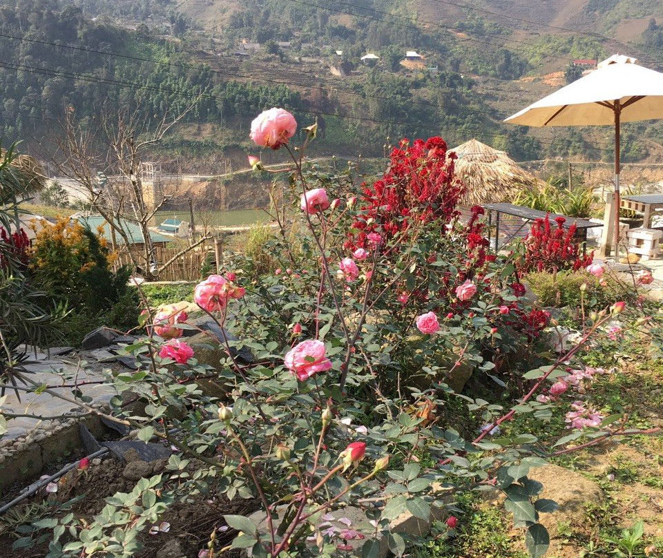 Sapa Eco Villas & Spa主图