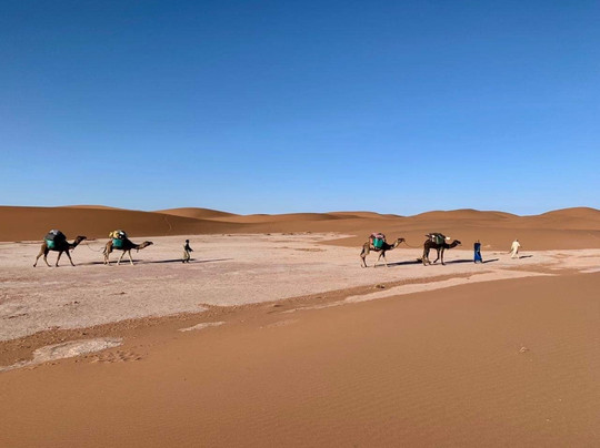M'hamid Tours-迈哈米德必去景点