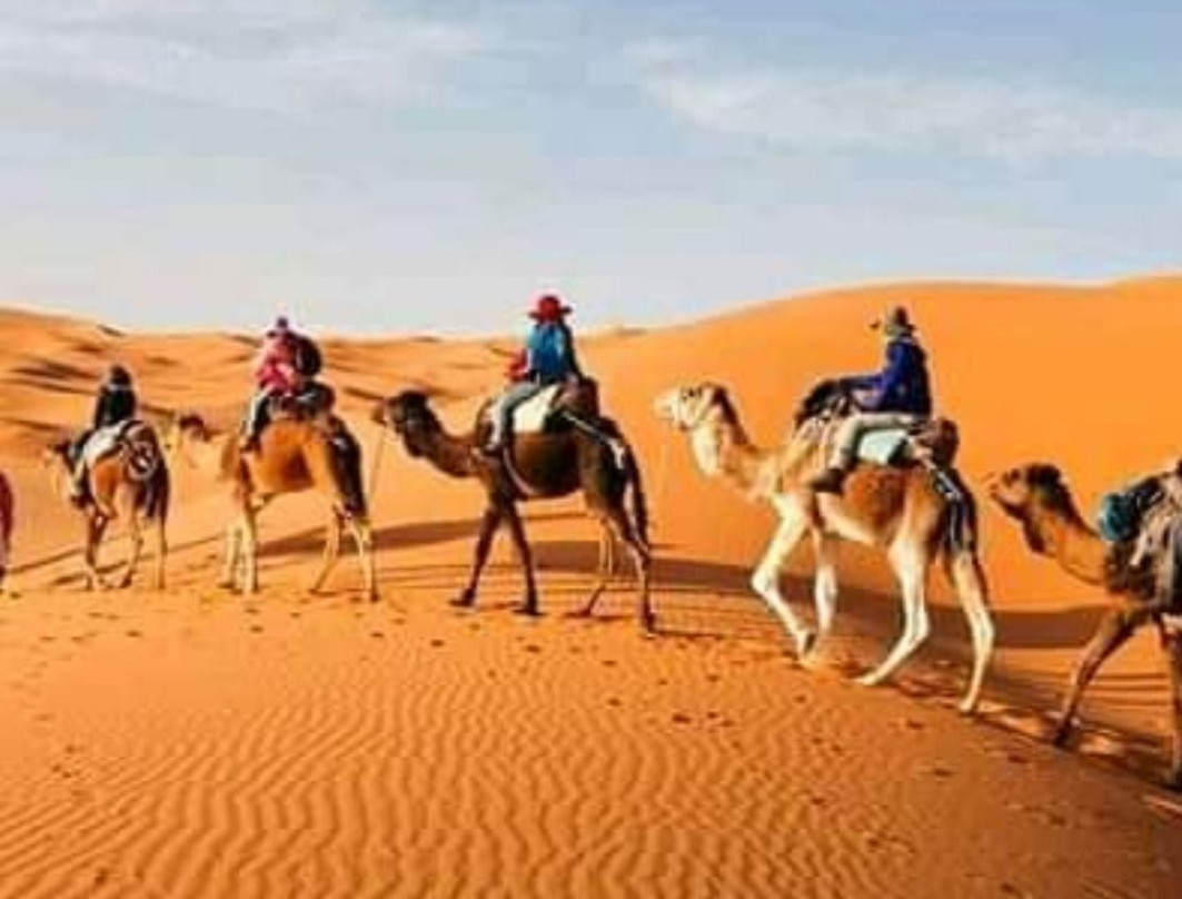 Alipok Tours-瓦尔扎扎特必去景点