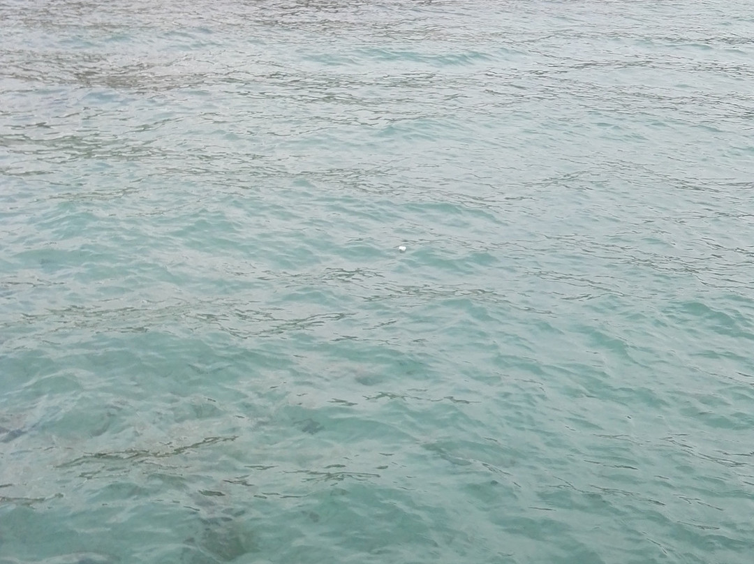 South Beach景点图片