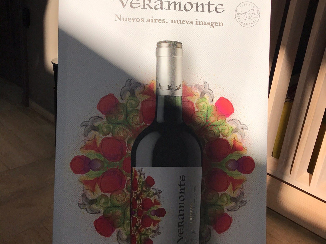 Casablanca Valley-卡萨布兰卡必去景点