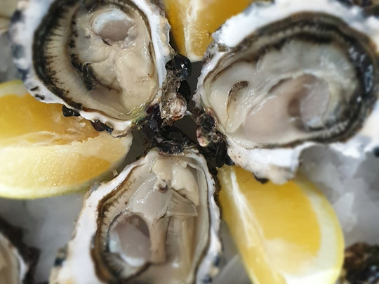 Restaurant Joaline Coquillages