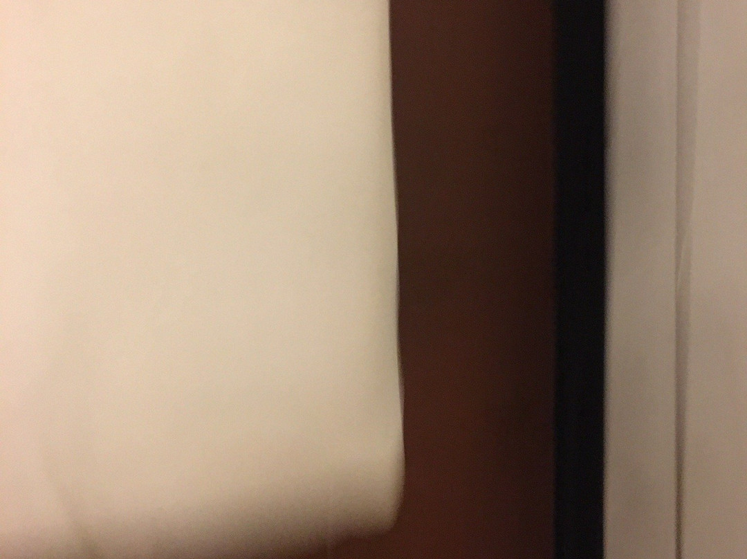 三叶草城市中心酒店主图