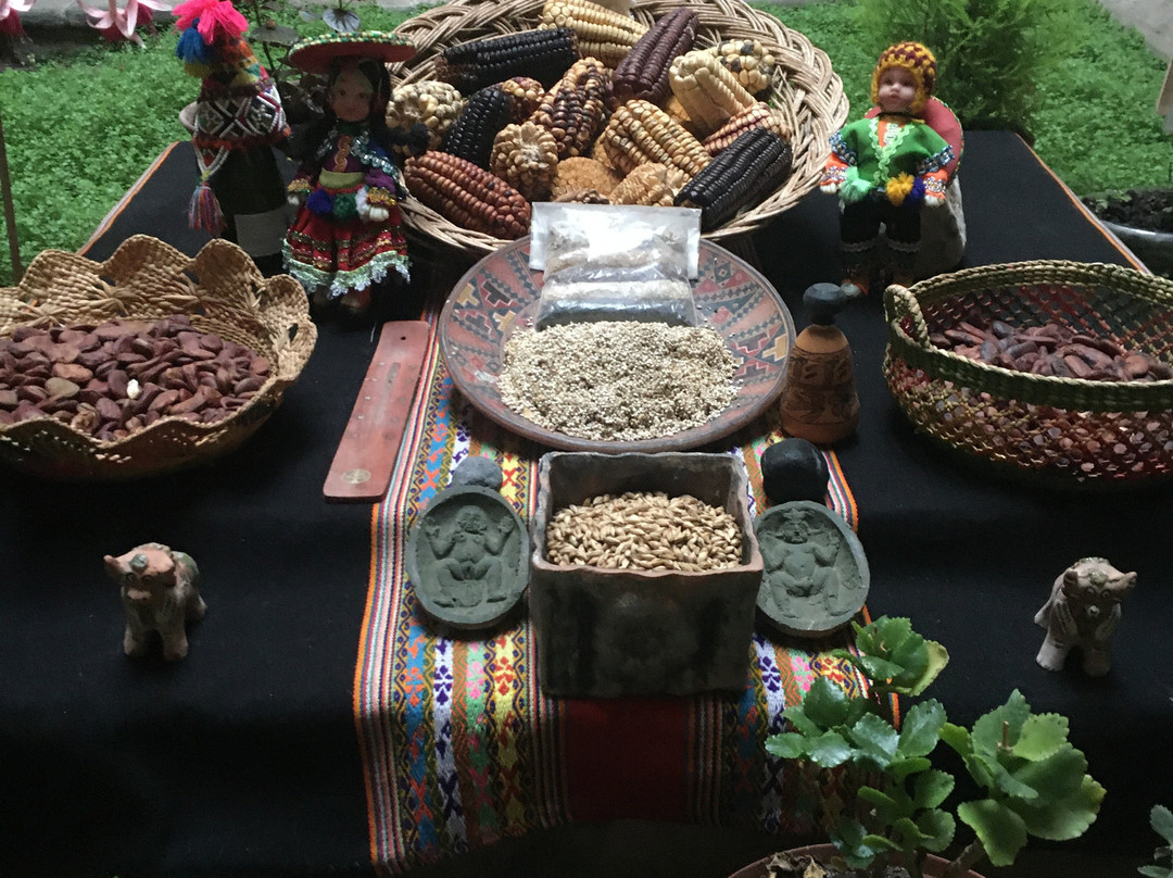 Picaflor Tambo Guest House主图