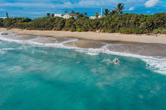 Blueline Surf & Paddle Co.-朱庇特必去景点