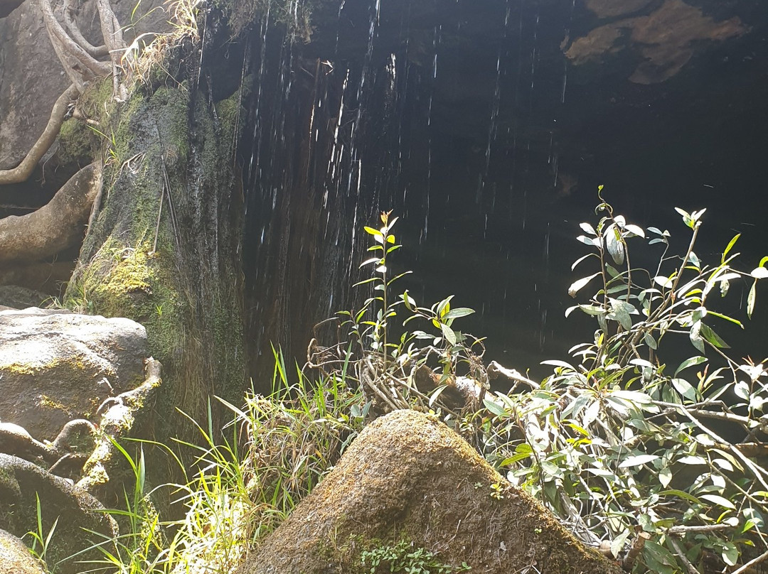 Mountain Sanctuary Park-Magaliesburg必去景点