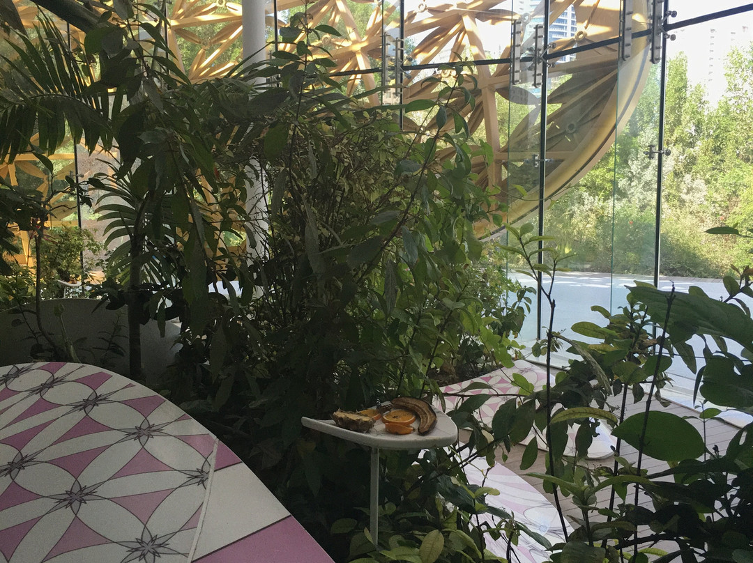 Al Noor Island-沙迦必去景点