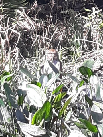 Discovery Kayak Tours-奥卡拉必去景点