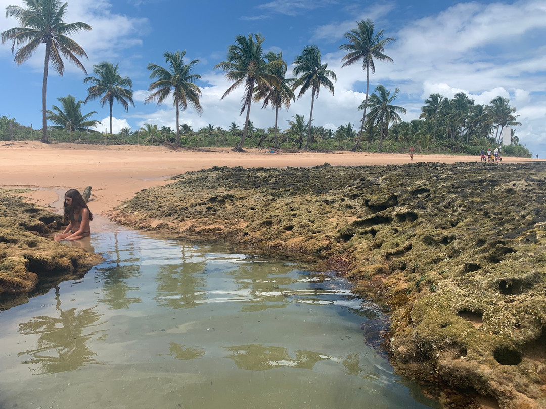 Tres Coqueiros Beach-Barra Grande必去景点