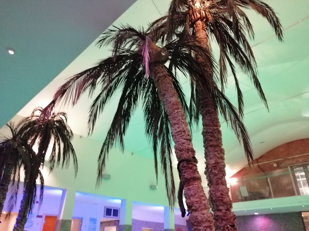伯顿酒店主图