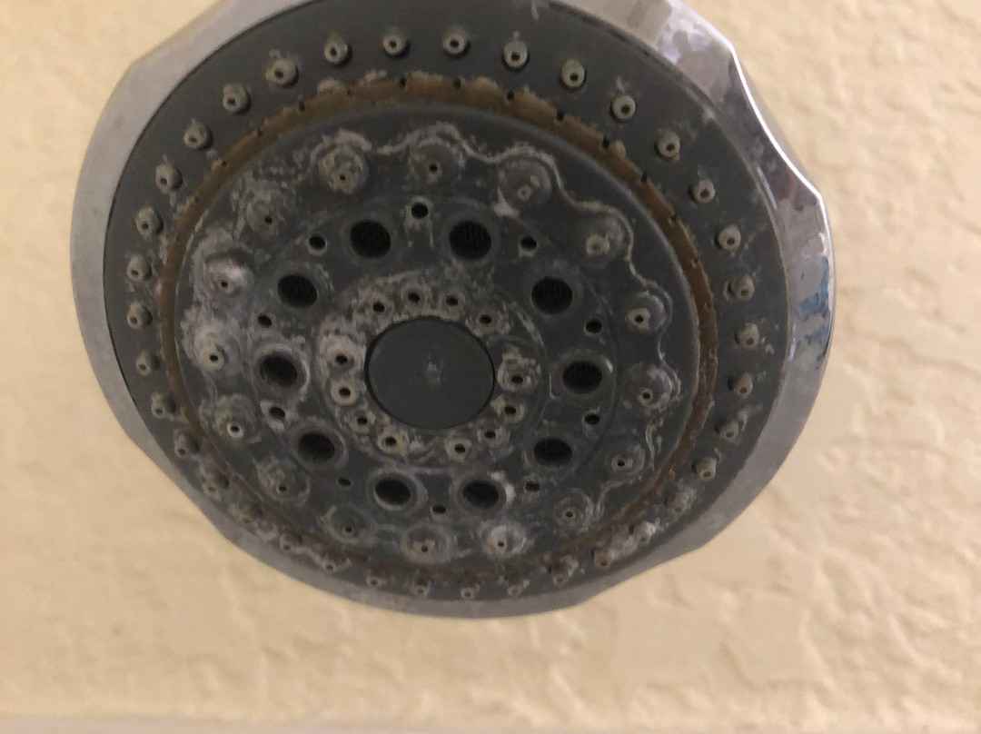 Super 8 by Wyndham Zanesville主图