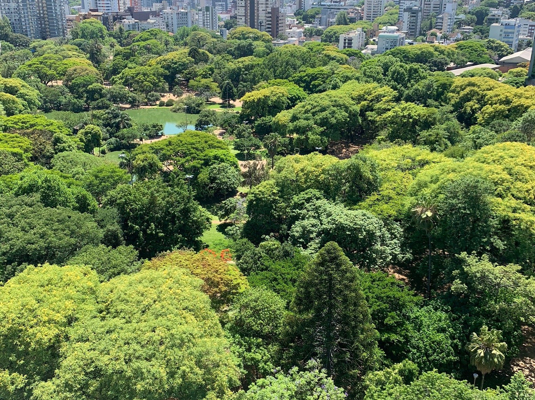 风车公园景点图片