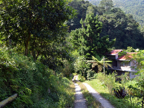 Chota Mangwa旅游攻略图片