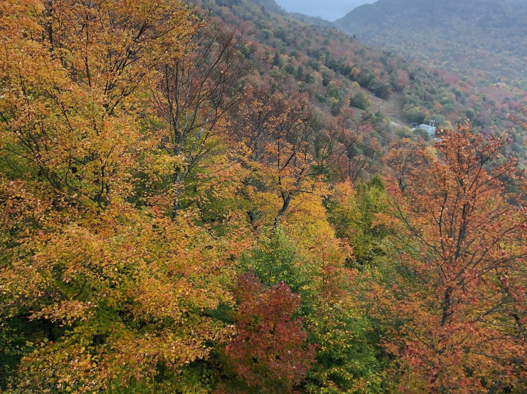 Mad River Glen-Waitsfield必去景点