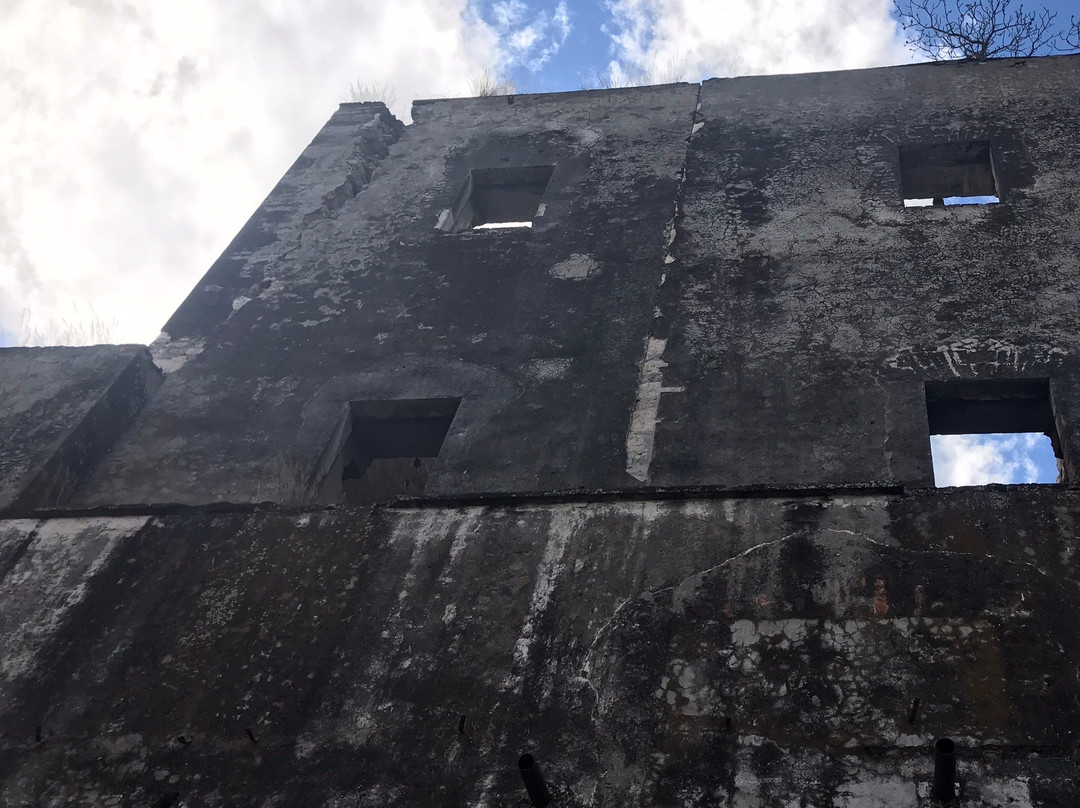 Ex Hacienda de Coahuixtla景点图片