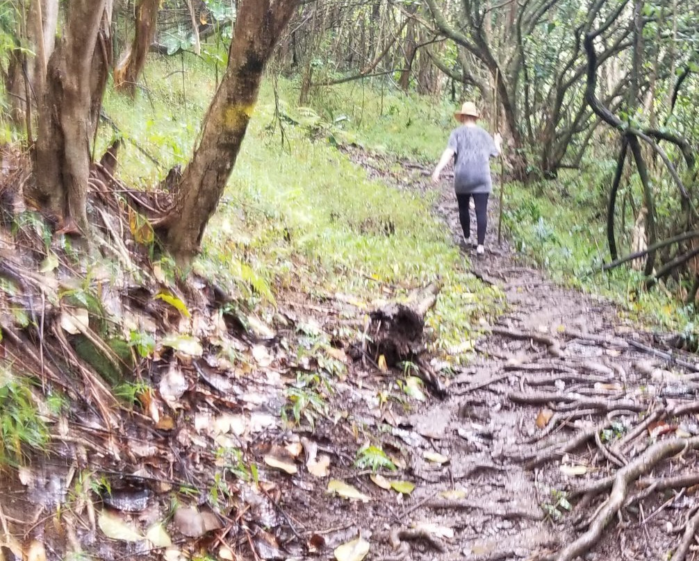 Maʻakua Ridge Trail-哈乌乌拉必去景点