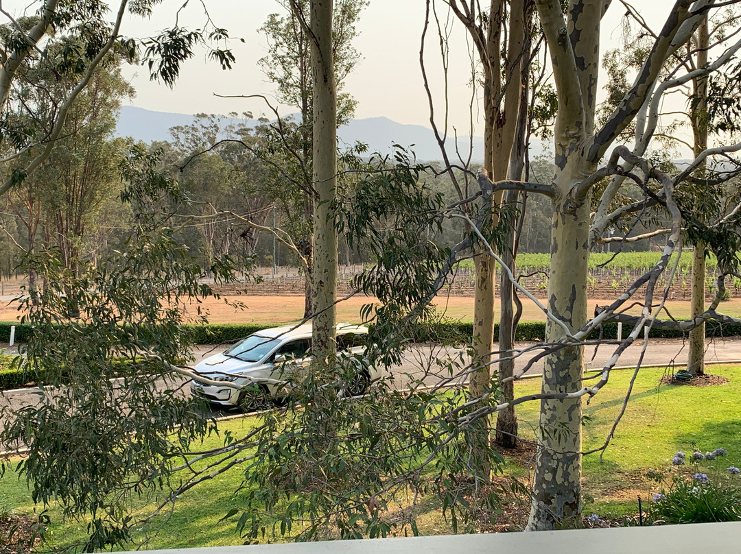 斯派瑟葡萄庄园酒店主图