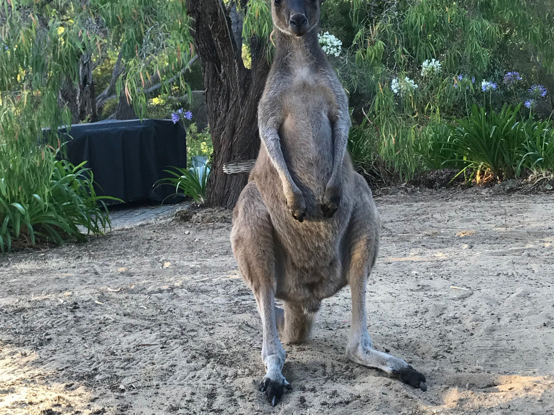 Llewellin's Guest House主图