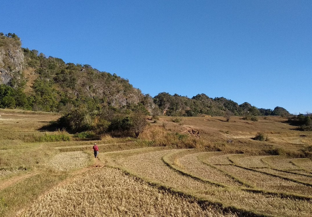 Green Land Trekking Kalaw-格劳必去景点