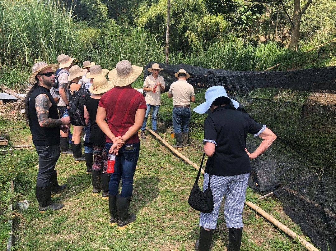 Colombia Coffee Tour-麦德林必去景点