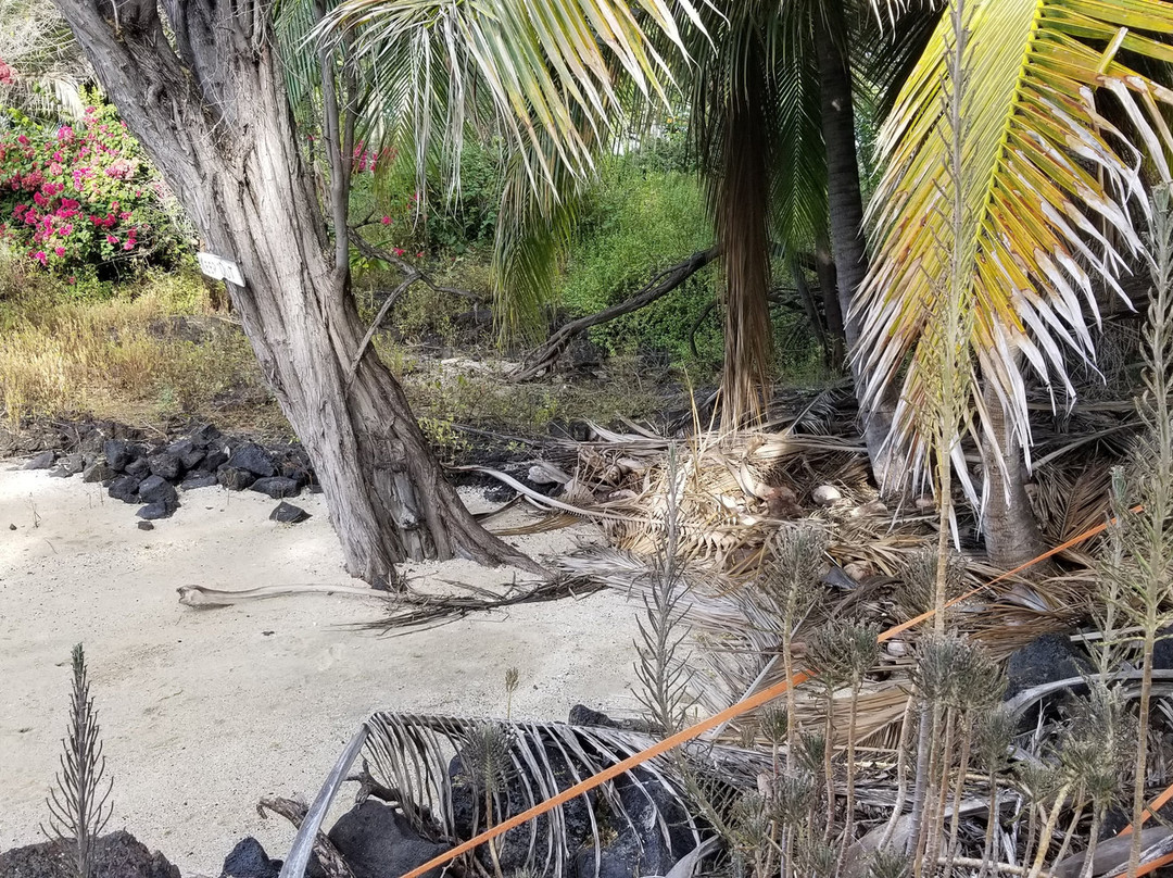 Honomalino Bay-Milolii必去景点