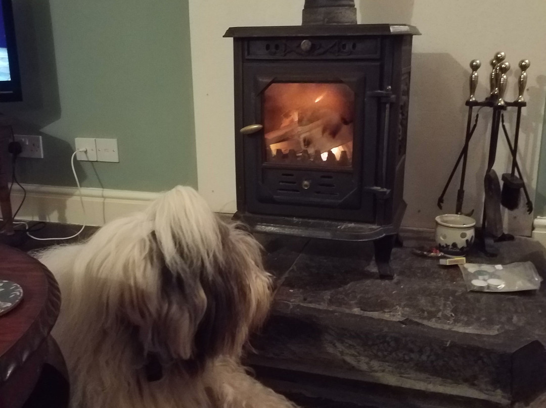 Penrhiwgaled Farm主图