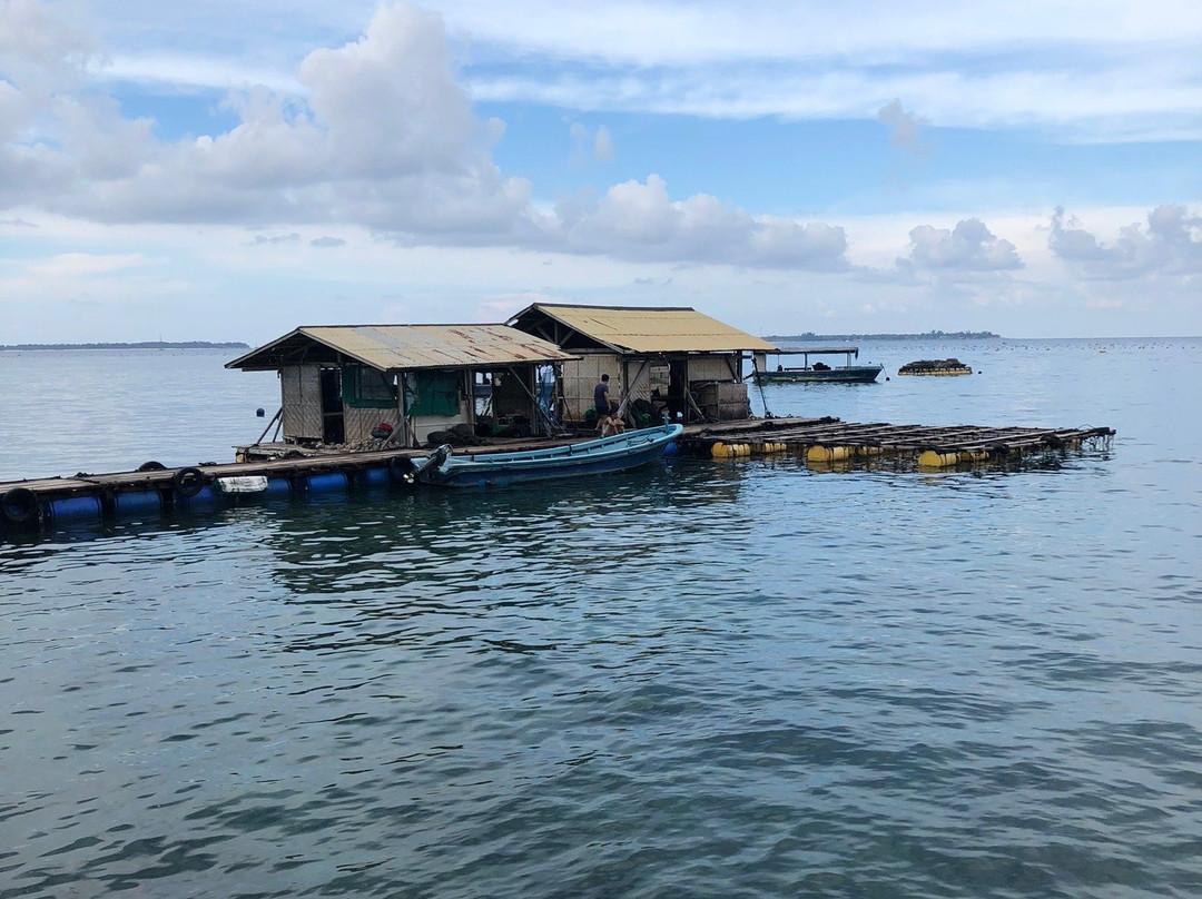 Autore Pearl Farm Tours and Showroom-Pemenang必去景点