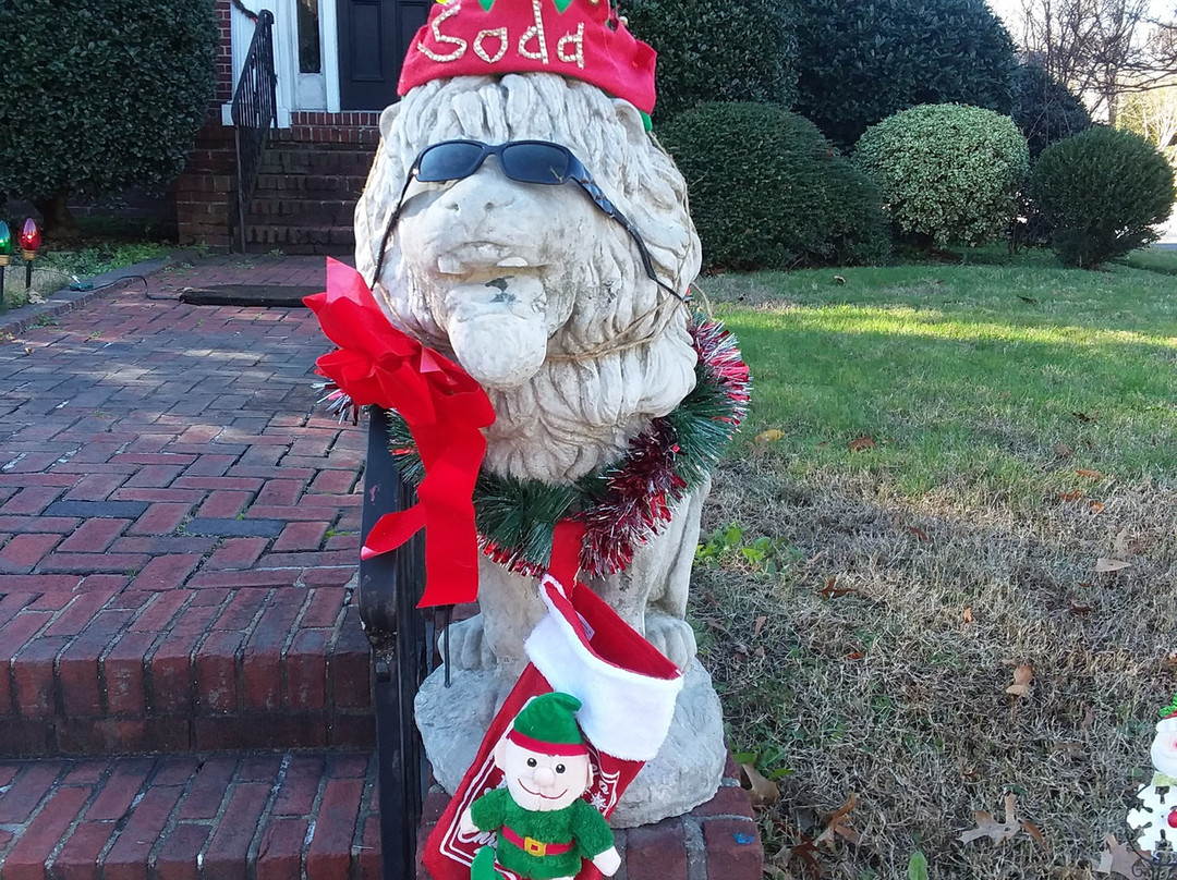 Scotch and Soda the Lions-诺福克必去景点