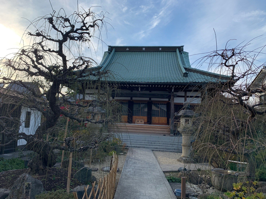 Koju-ji Temple-大垣市必去景点