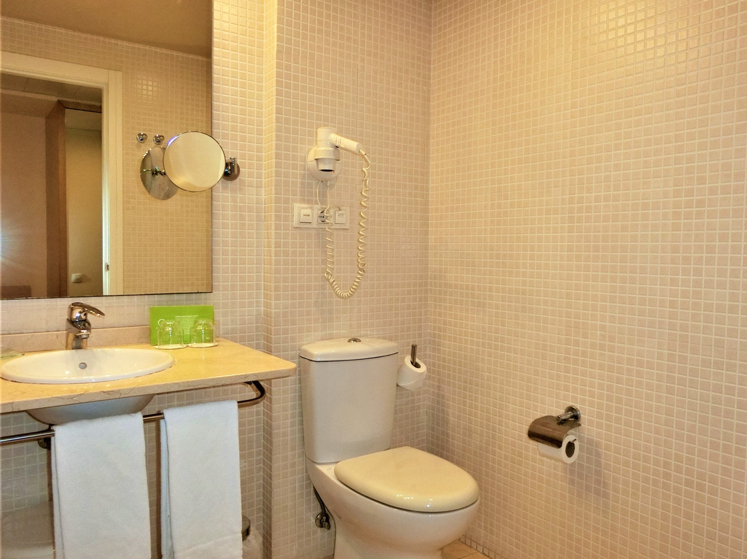 Flag Hotel Valencia - Florazar主图