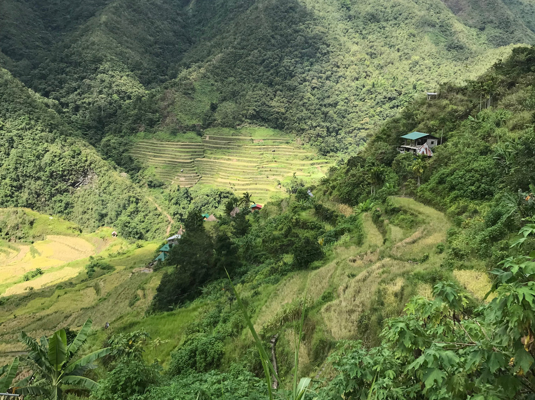 Ramon's Homestay and Restaurant主图