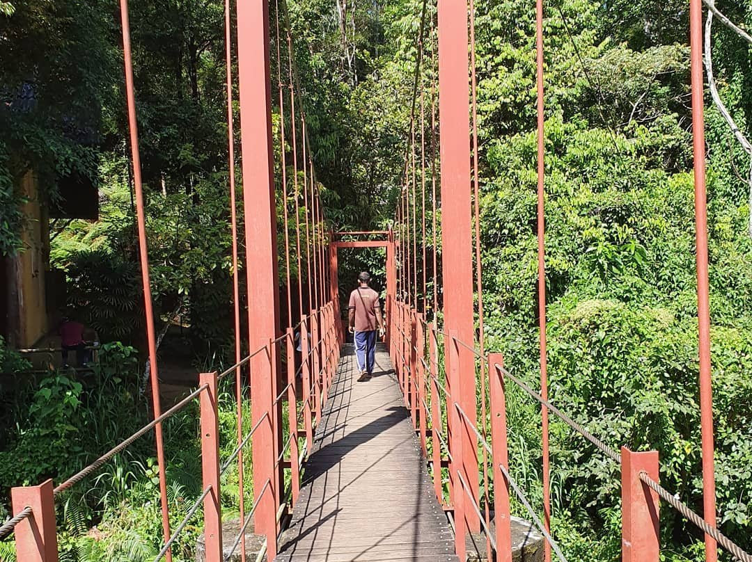 Rainforest Tours (Sinharaja)-Deniyaya必去景点