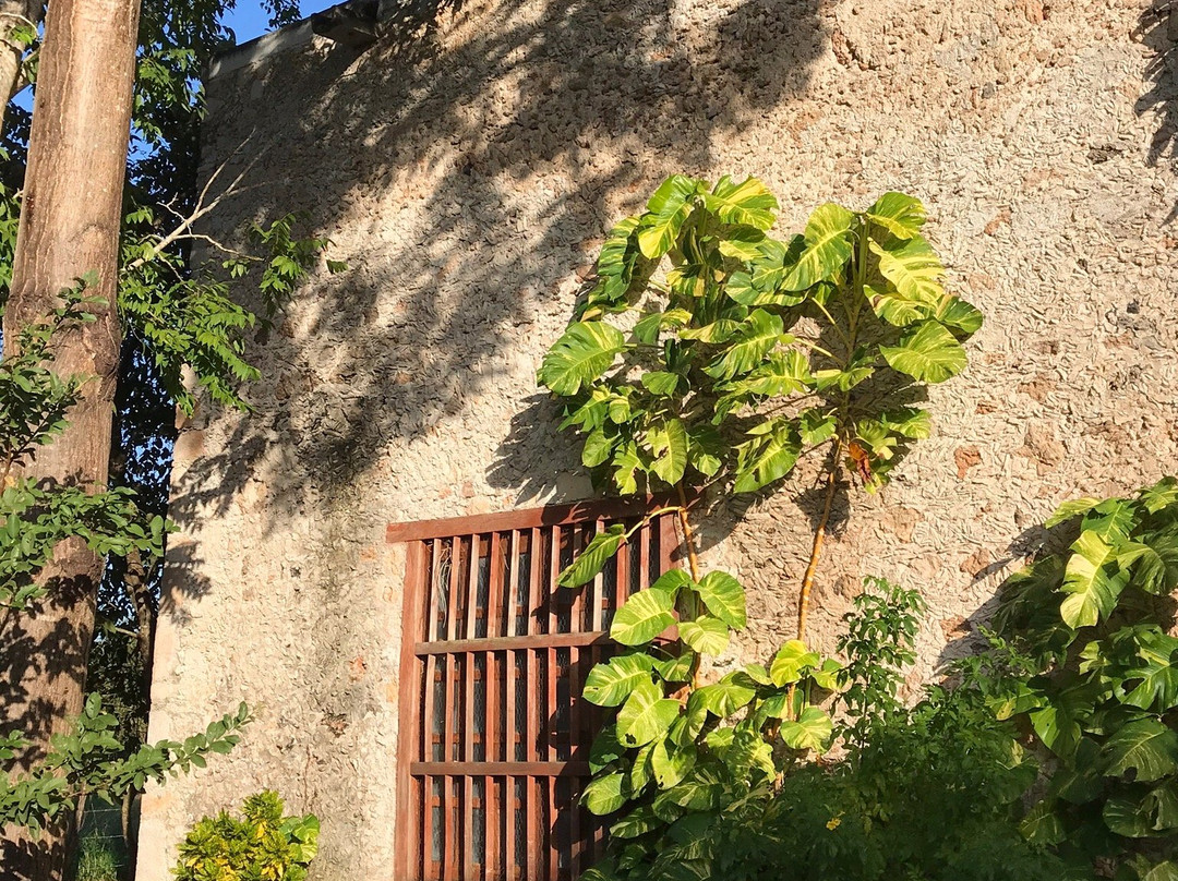 Ex Convento Franciscano-Tizimin必去景点