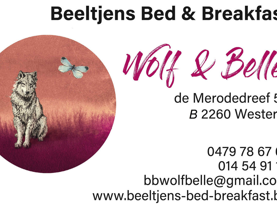 Beeltjens-Bed-Breakfast - Wolf & Belle主图