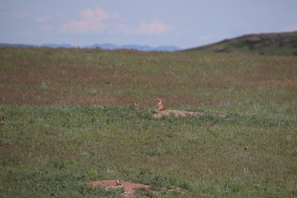 Old U.S. Highway 91 Historic District