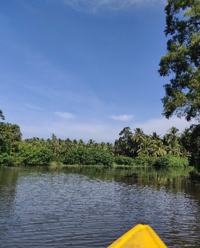 Goa Kayaking景点图片