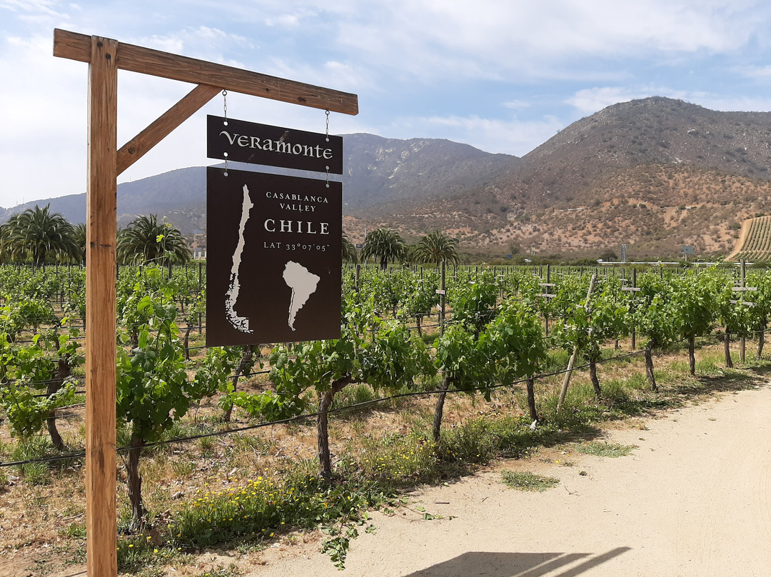 Chilean Mountain-圣地亚哥必去景点