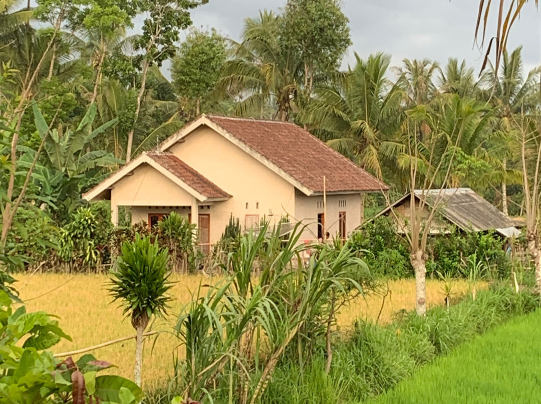 Brigadoon Lombok B&B主图