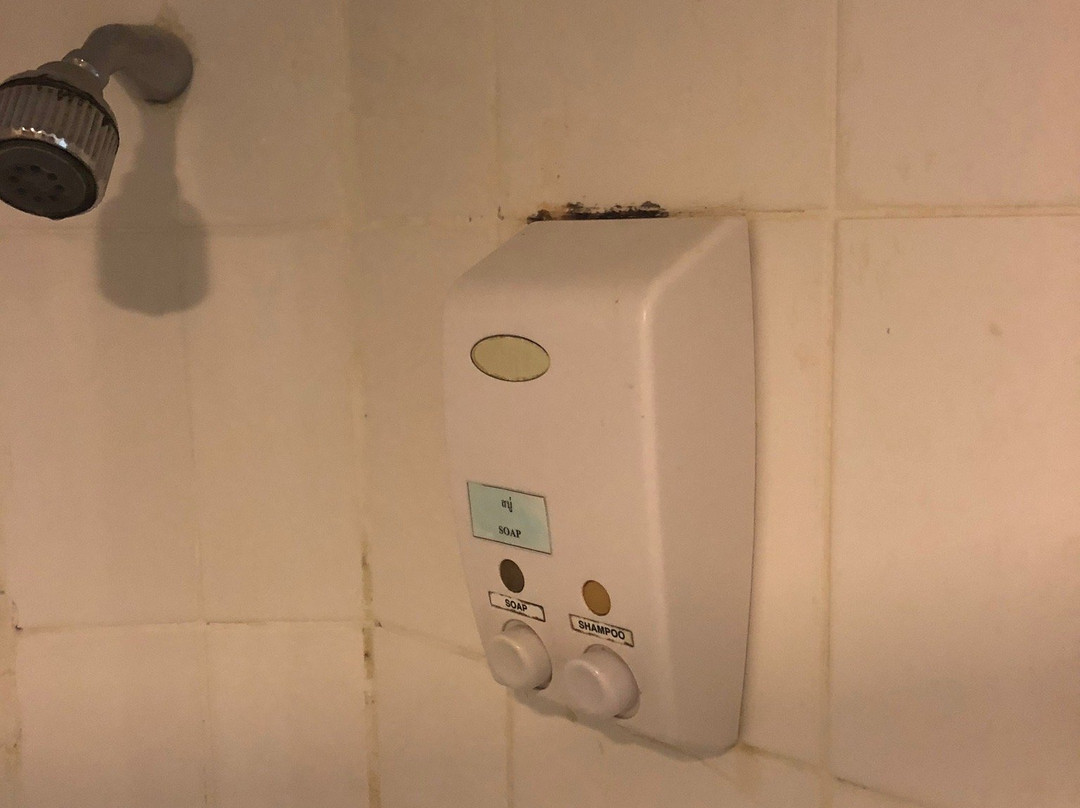 The Station One主图