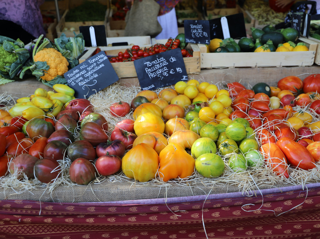 La Bastide au Ventoux主图