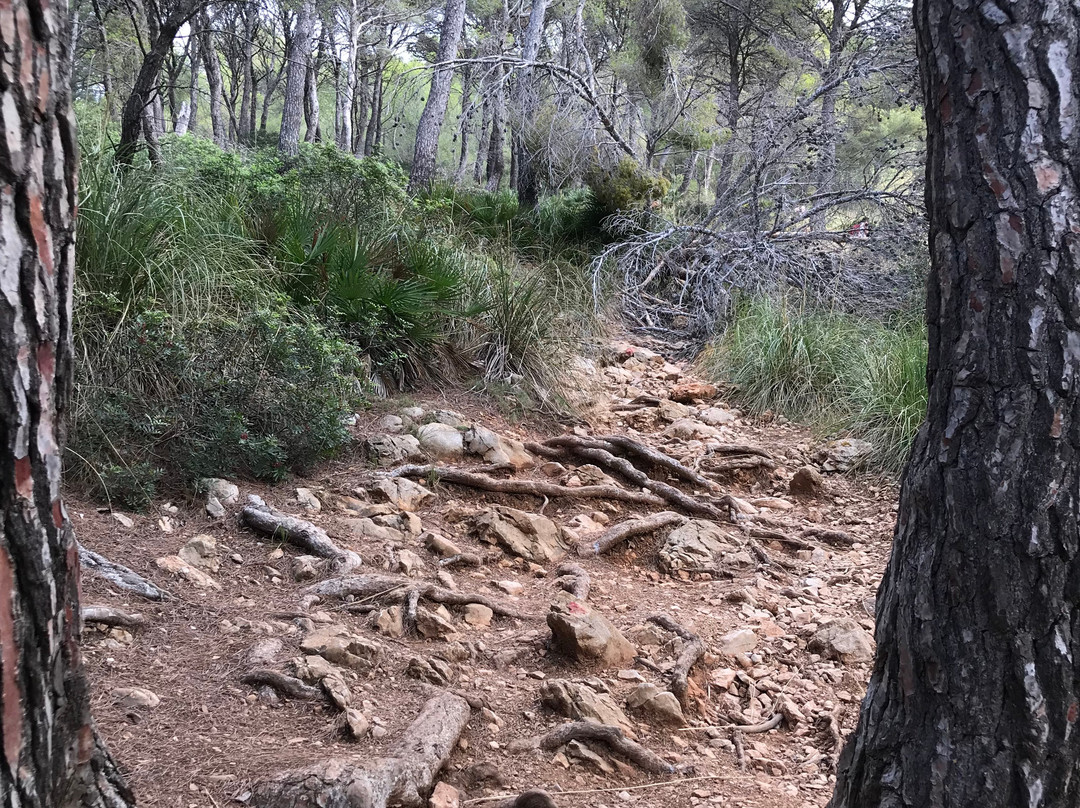 Talaia de Son Jaumell-Cala Ratjada必去景点