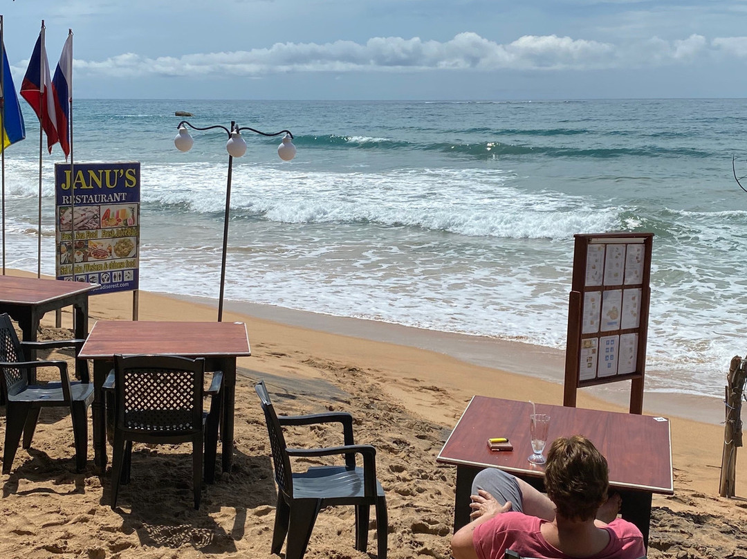 Janus Paradise Rest主图