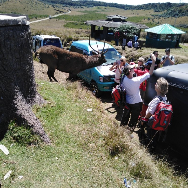Nuwara Eliya Day Tours-奴娃拉伊利雅必去景点